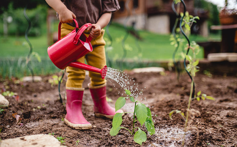 A midsection of portrait of cute small child outdoors gardening. Photograph by Halfpoint Images