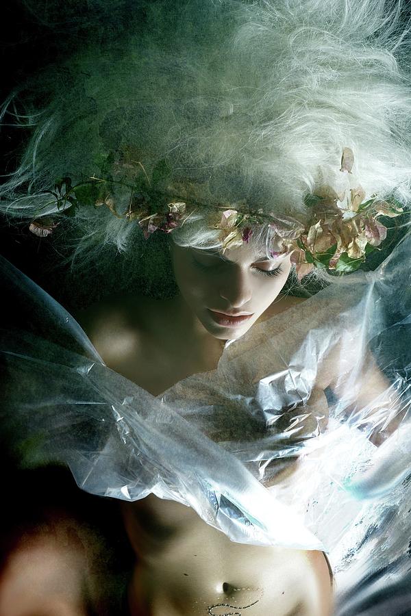 A Midsummer Nights Dream Photograph by Olga Mest