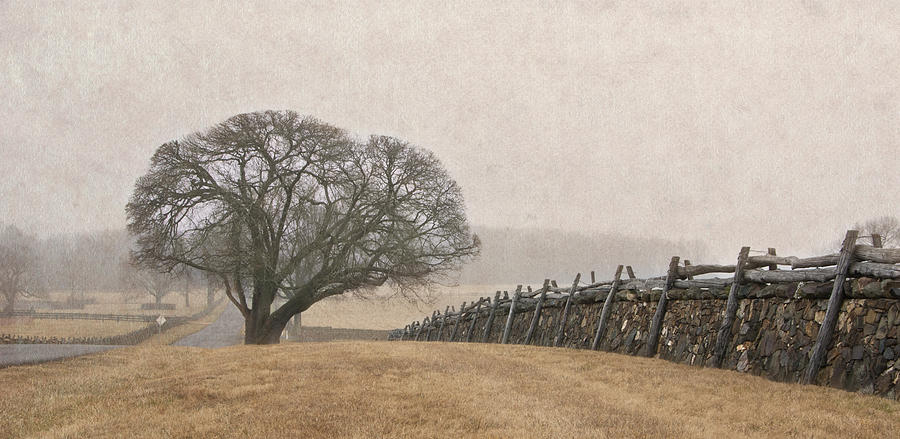 A Misty Morning in Horse Country Photograph by Carol Erikson