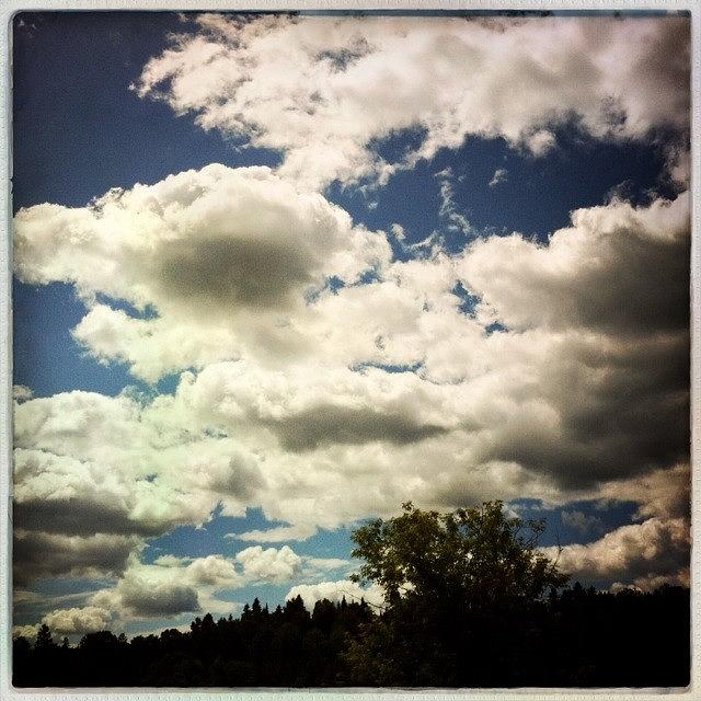 Jane Photograph - A Mix Of Sun And Clouds In Plevna by Sharon Wilkinson