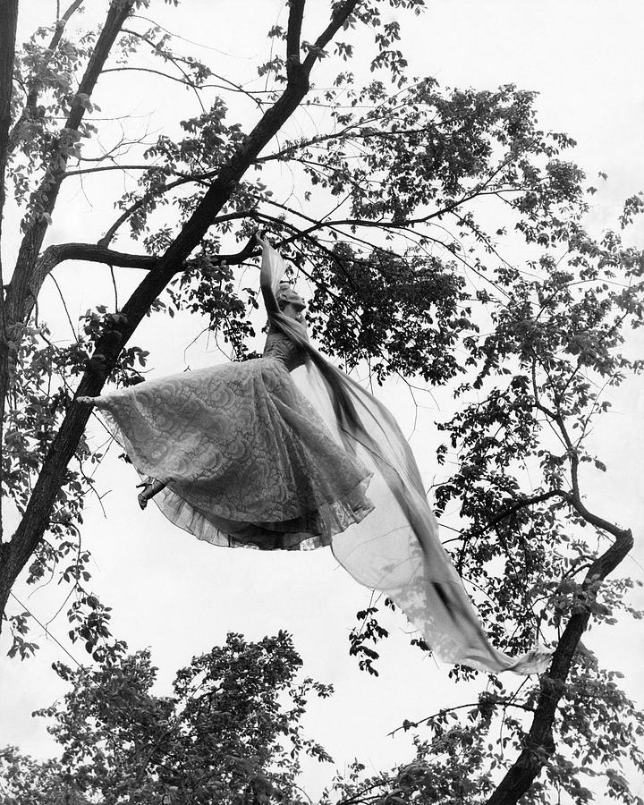 A Model Wearing A Dress In A Tree Photograph by Gene Moore