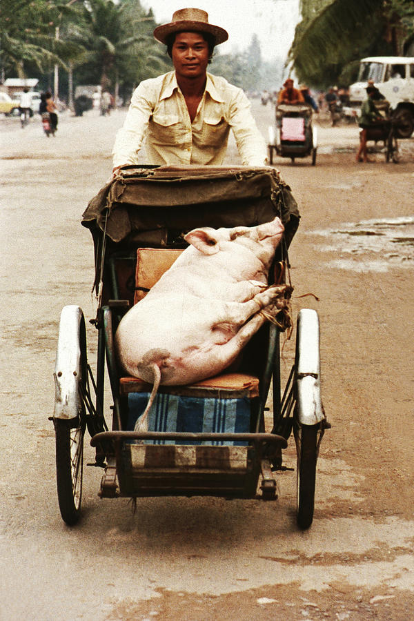 Transportation Photograph - A moment of life in Cambodia by Joe Connors