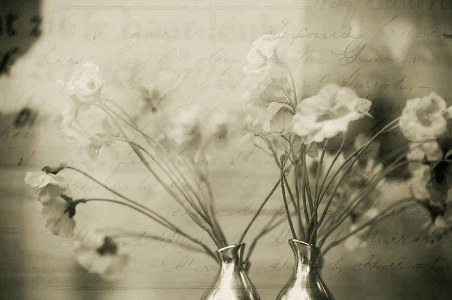 Flower Photograph - A Moment of Nostalgia by Jenny Rainbow