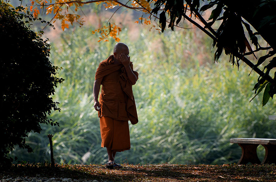 Thailand Photograph - A Monks Contemplation by Duane Bigsby