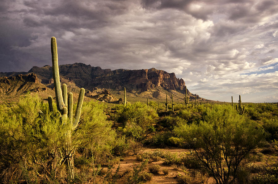 Mountain Photograph - A Monsoonal Evening at the Superstitions  by Saija Lehtonen