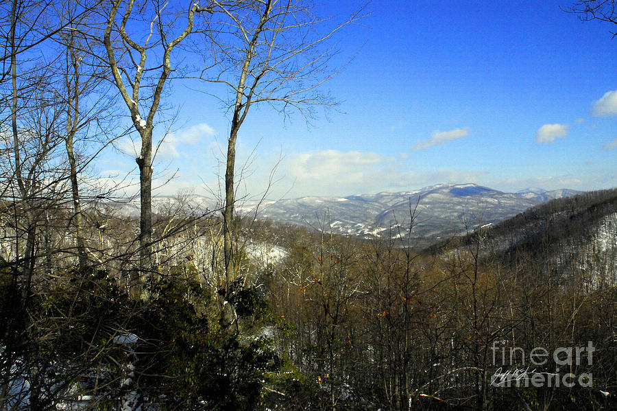 A Moon Dog View Photograph by Jeff McJunkin - Fine Art America