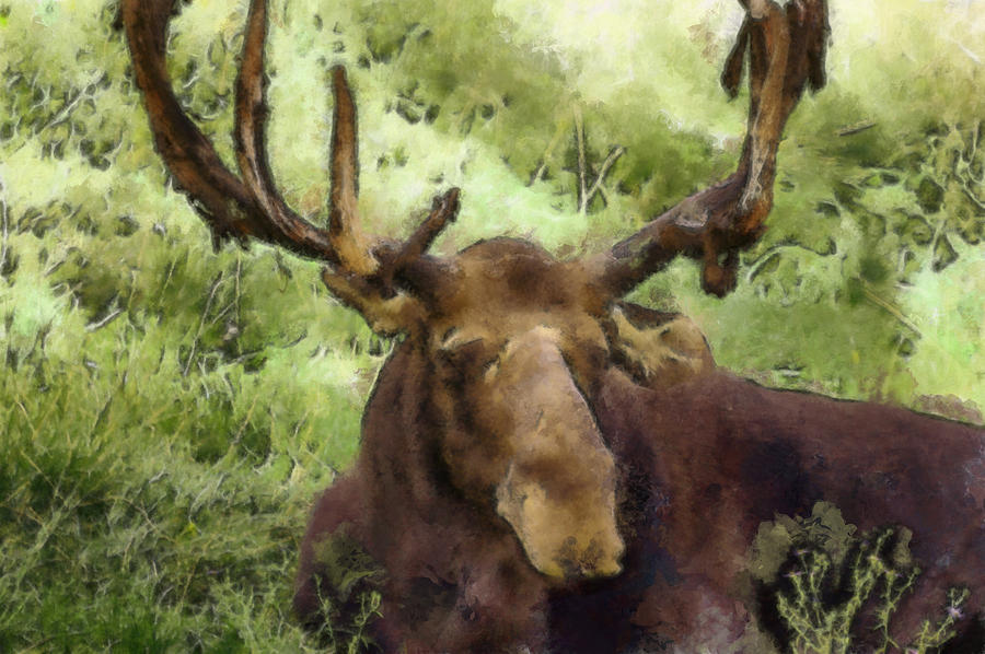 A Moose Abstract Digital Art by Ernest Echols