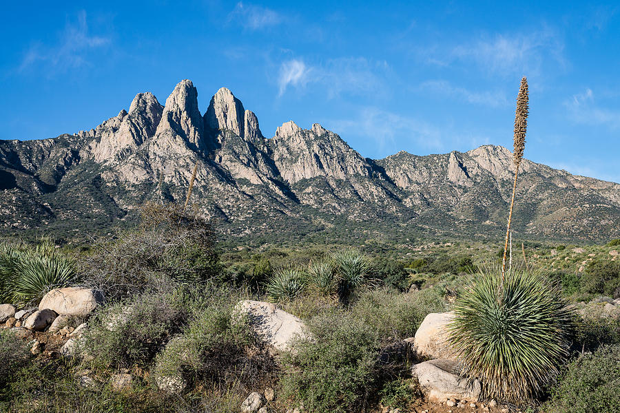 A morning look at the Organ Mountains Photograph by Bryan Pridgeon ...