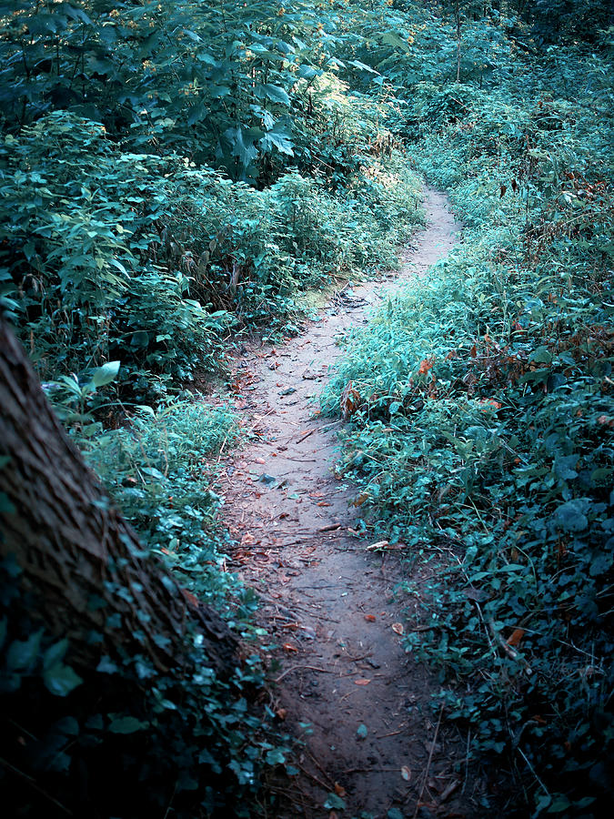 A Morning Stroll Along The River Photograph by Cameron Davidson A Morning Stroll Along The River Photograph by Cameron Davidson