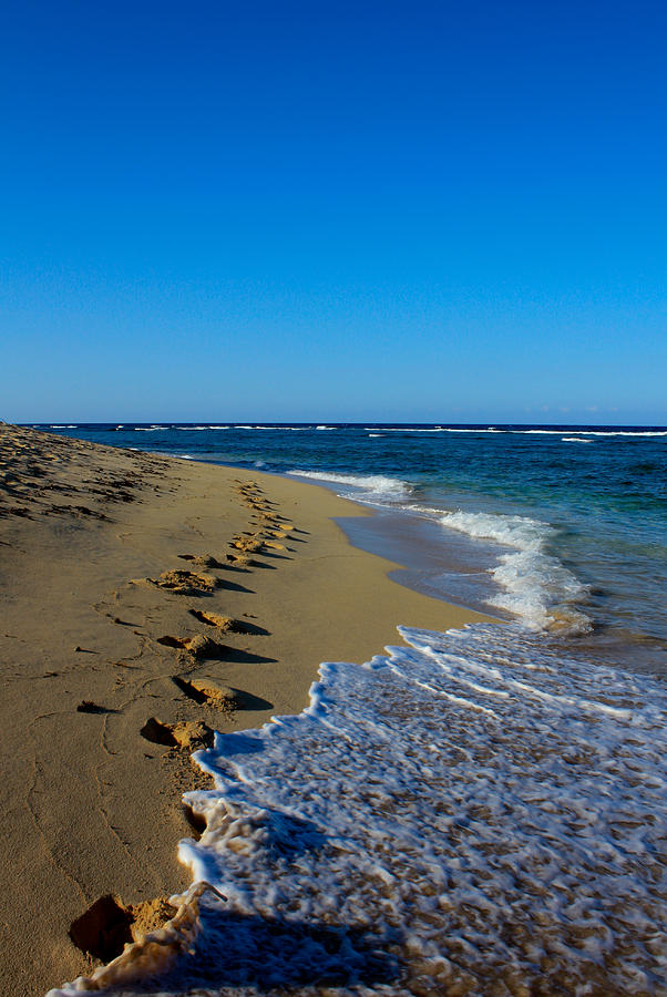 A Morning Walk On A Dominican Beach Photograph