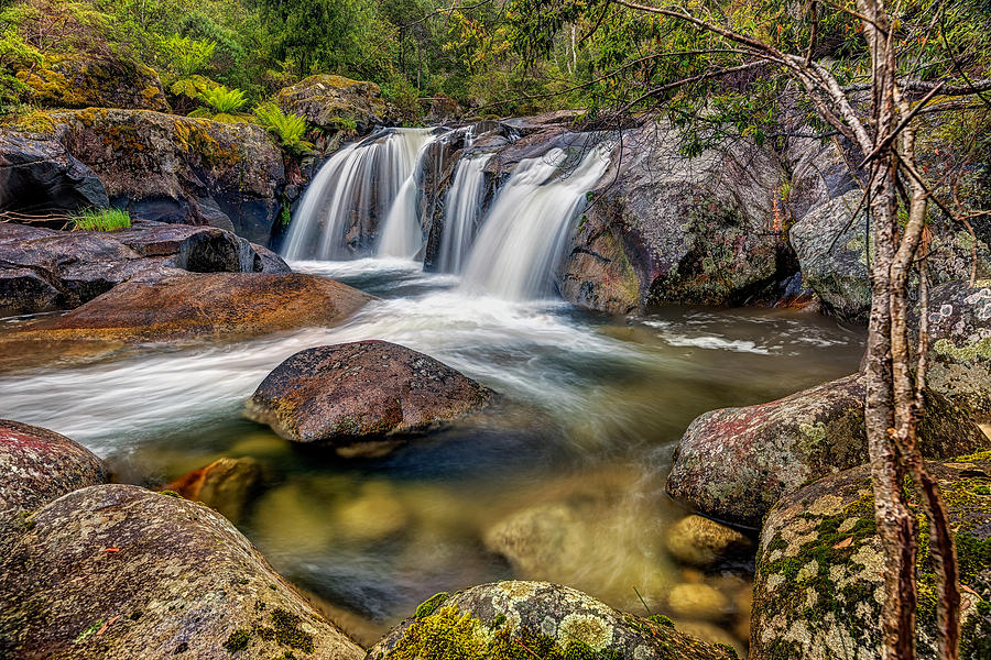 A Mountain Flow Photograph by Mark Lucey