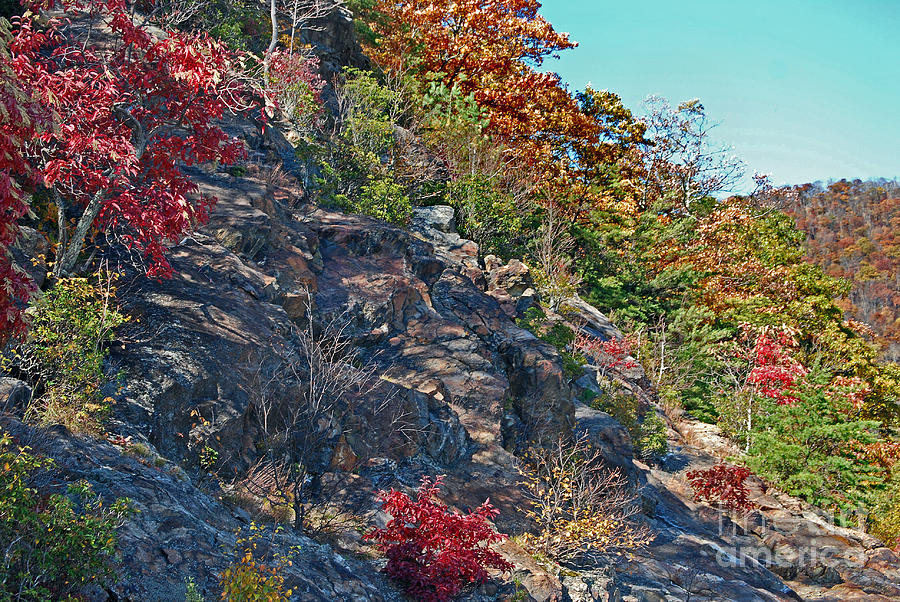 Tool Photograph - A Mountain Of Color by Skip Willits