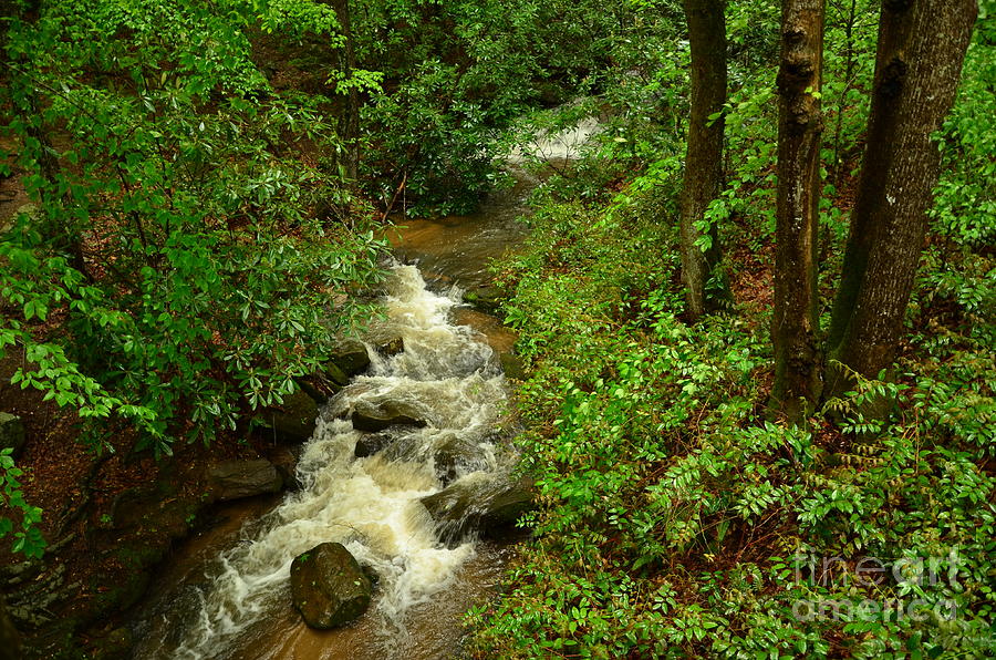 A Mountain Stream After The Spring Rains Photograph by Bob Sample