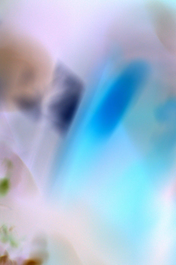 Abstract Photograph - A Natural State by Christine Ricker Brandt