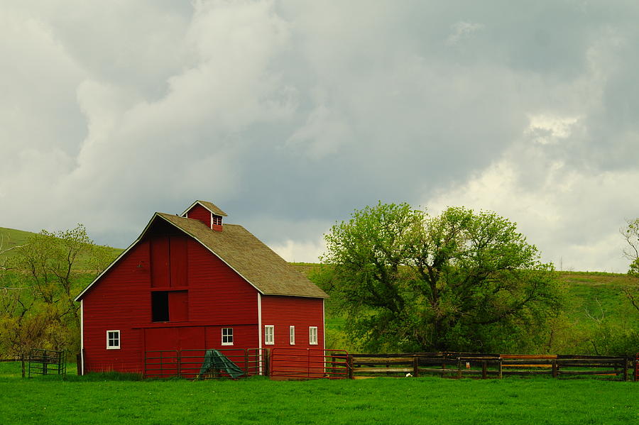 Barn Photograph - A Neat Red Barn Near Sheridan Wyoming by Jeff Swan