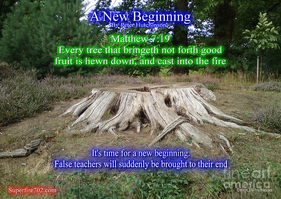 a-new-beginning-photograph-by-bible-verse-pictures