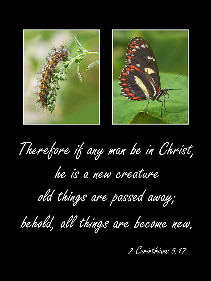 Jesus Christ Photograph - A New Creature by David and Carol Kelly