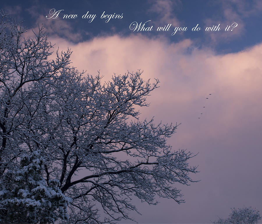 Birds Photograph - A New Day Begins by Mike Bennett Birds Photograph - A New Day Begins by Mike Bennett