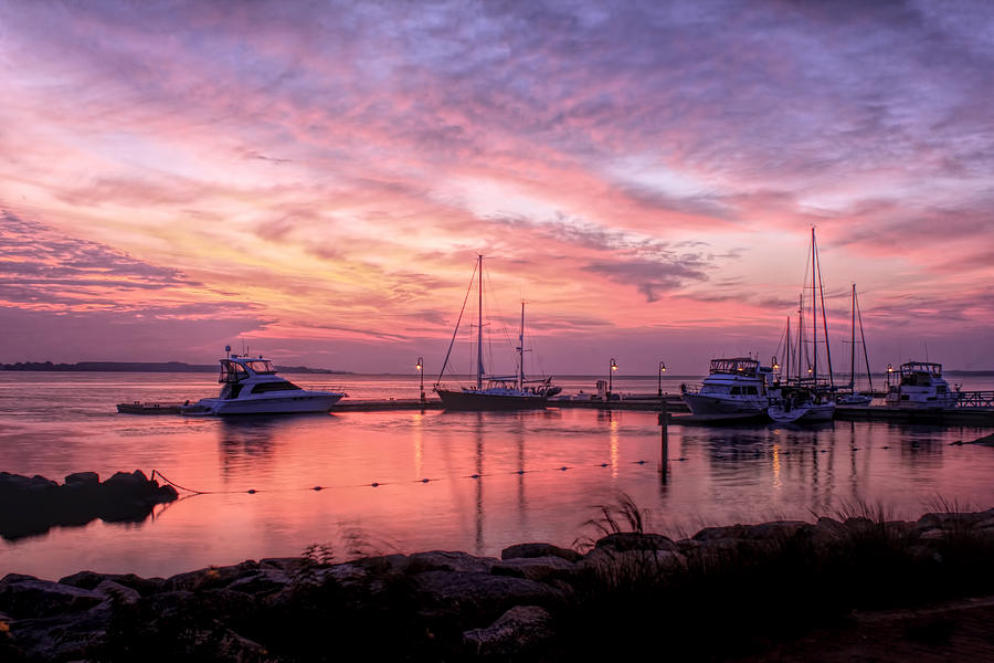 A New Day Dawning Photograph by Ola Allen - Fine Art America