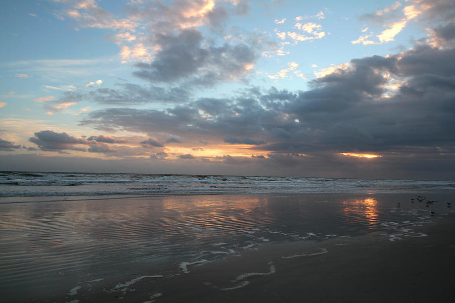 A New Day by Jose Rodriguez A New Day by Jose Rodriguez