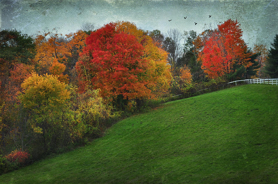 A New England Autumn Photograph by Barbara Manis