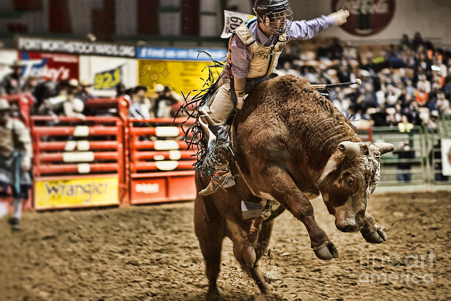 Fort Worth Photograph - A Night at the Rodeo V6 by Douglas Barnard