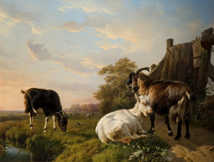 Goat Digital Art - A Pack Of Goats by Jacques Raymond Brascassat