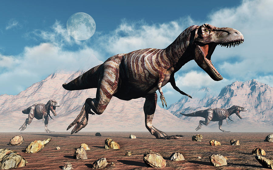 A Pack Of T-rex Dinosaurs Hunting Photograph by Mark Stevenson - Fine ...