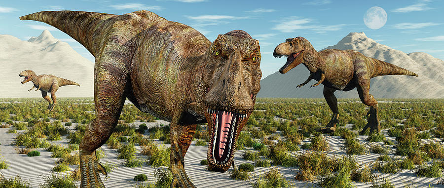 A Pack Of Tyrannosaurus Rex Dinosaurs Photograph by Mark Stevenson