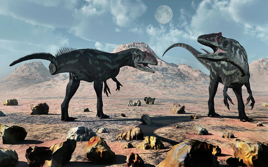 A Pair Of Allosaurus Dinosaurs Photograph by Mark Stevenson