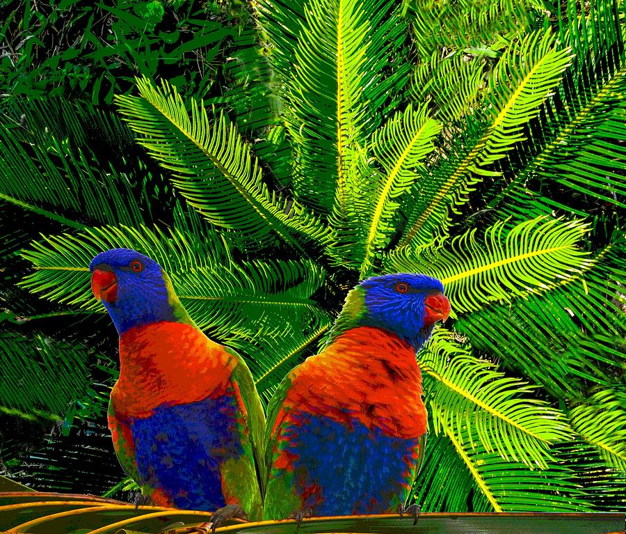 A Pair Of Australian Rainbow Lorikeet Birds Photograph by Suzanne Powers