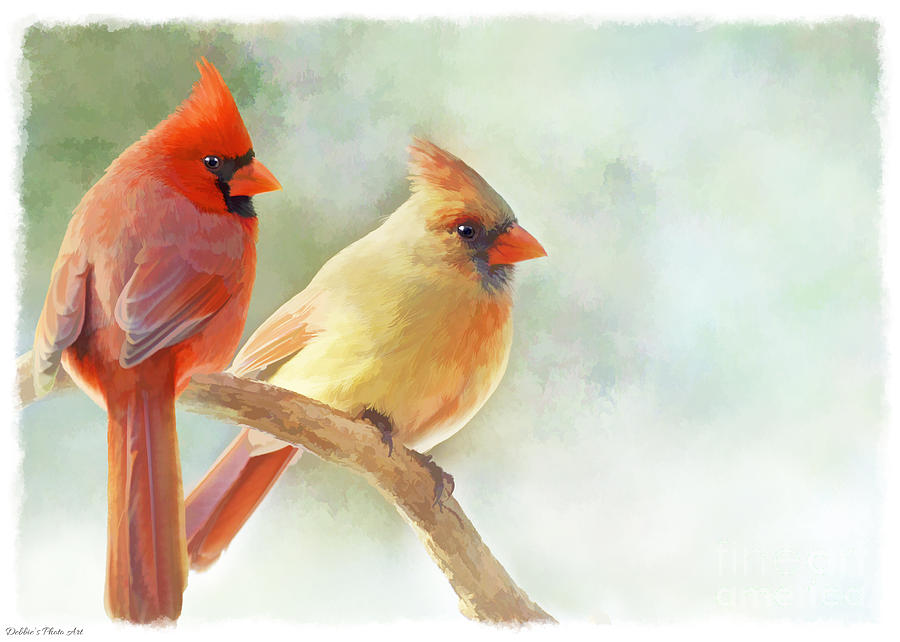 Cardinal Photograph - A Pair of Cardinal - Digital Paint I by Debbie Portwood
