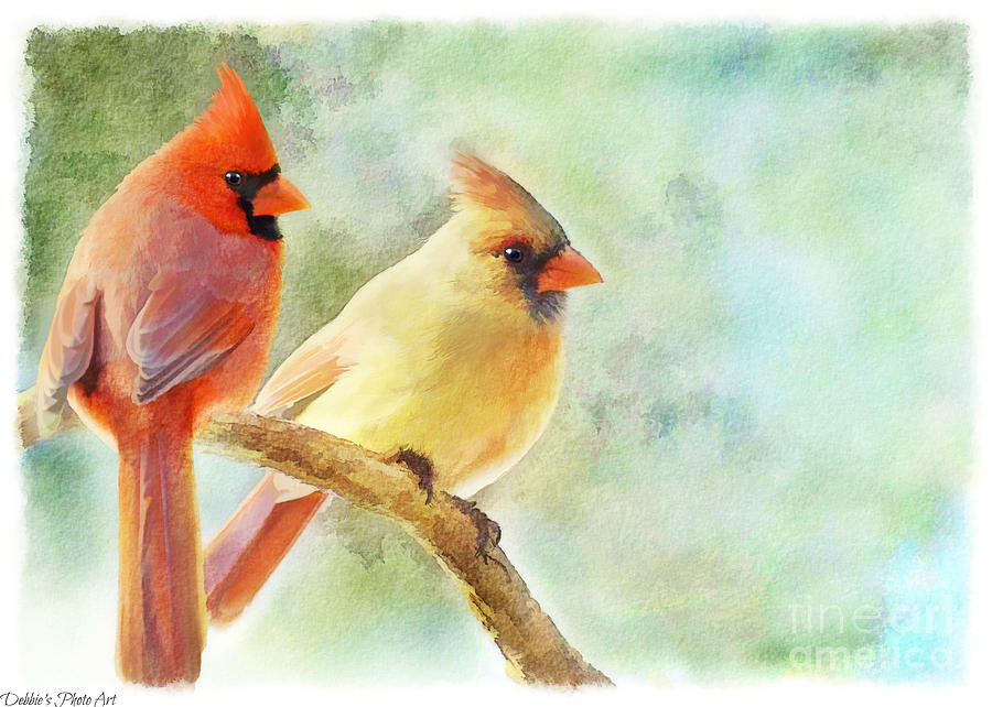 A Pair of Cardinals - Digital Paint II  Photograph by Debbie Portwood