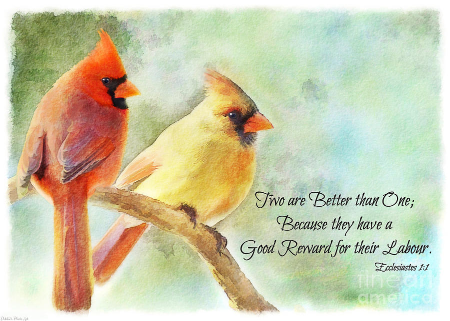 A Pair of Cardinals - Digital Paint with verse I Photograph by Debbie Portwood