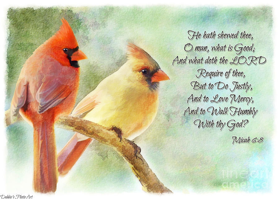A Pair of Cardinals - Digital Paint with verse II Photograph by Debbie Portwood