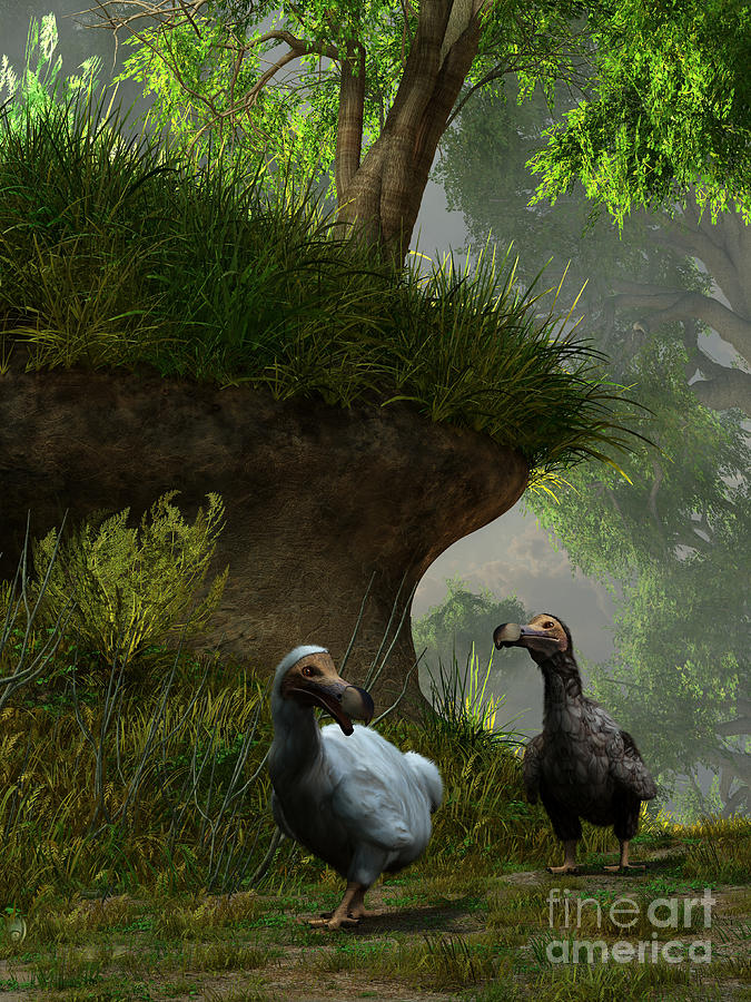 Outdoors Digital Art - A Pair Of Dodo Birds Waddle by Daniel Eskridge Outdoors Digital Art - A Pair Of Dodo Birds Waddle by Daniel Eskridge