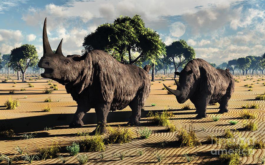 A Pair Of Mature Woolly Rhinoceros Digital Art by Mark Stevenson | Fine ...