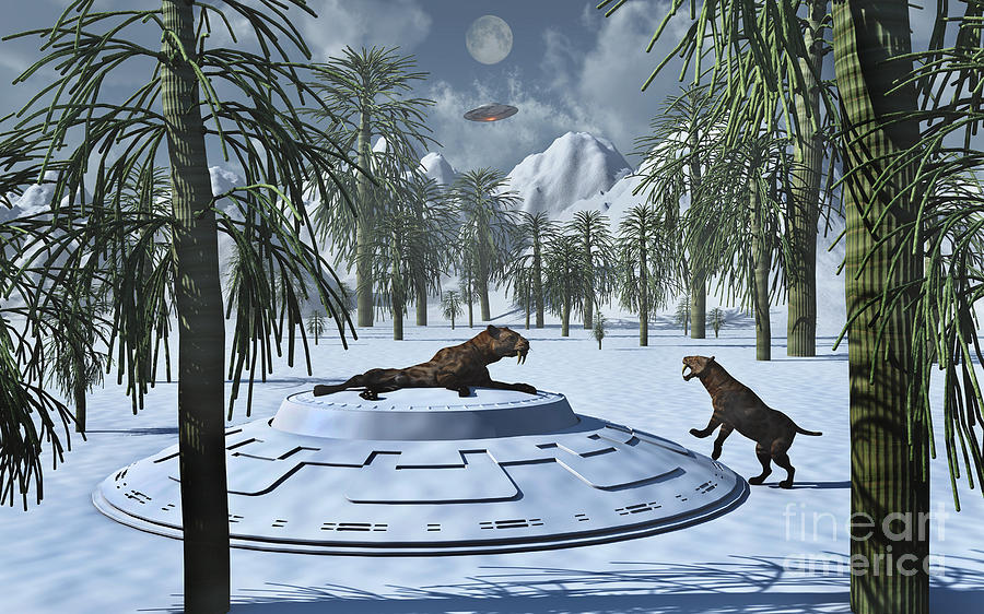 Nature Digital Art - A Pair Of Sabre-tooth Tigers by Stocktrek Images