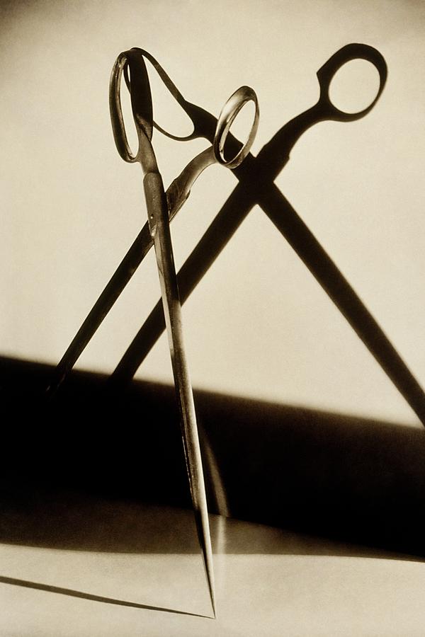 A Pair Of Scissors Photograph by Irving Browning