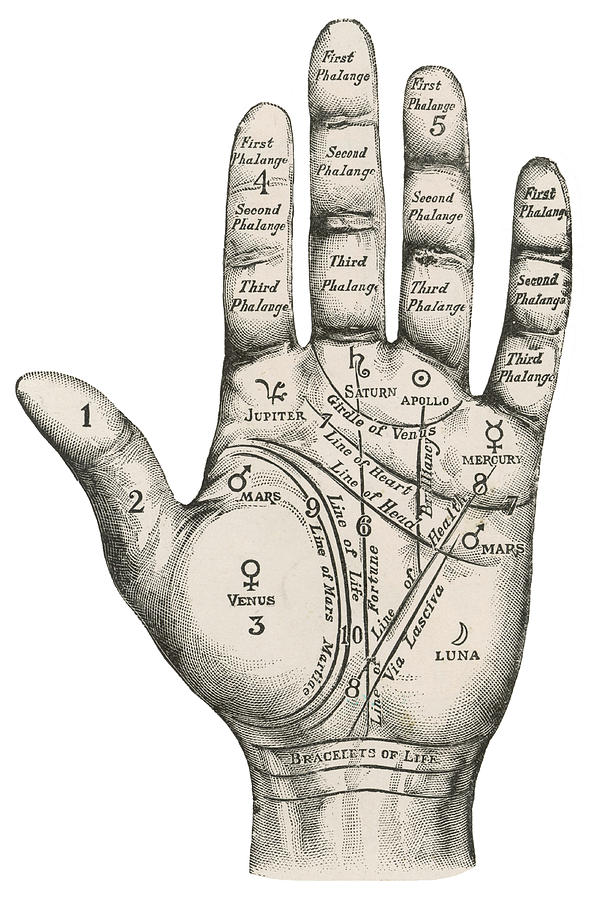 A Palmistry Map Of The Hand, Labelling Drawing by Illustrated London News  Ltd/Mar | Pixels