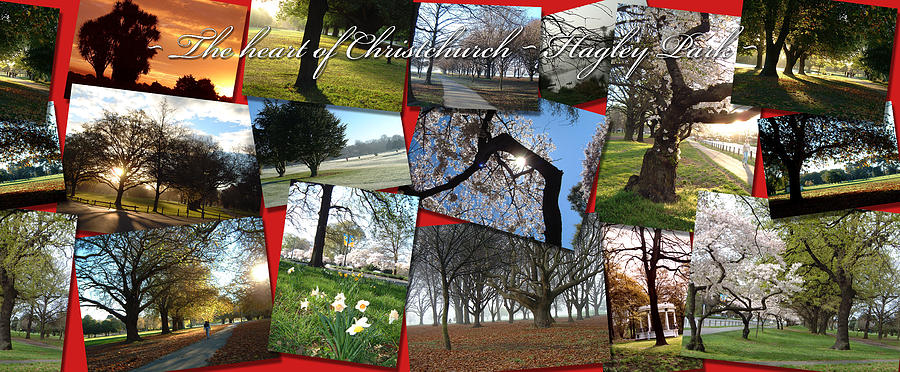 Nature Photograph - A Park for All seasons by Jenny Setchell
