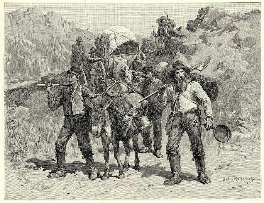 A Party Of Prospectors Make Their Way Drawing by Mary Evans Picture ...