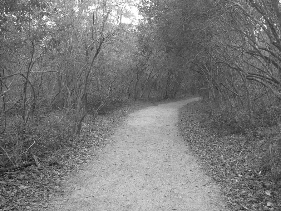A path in life - B/W Photograph by Beth Vincent