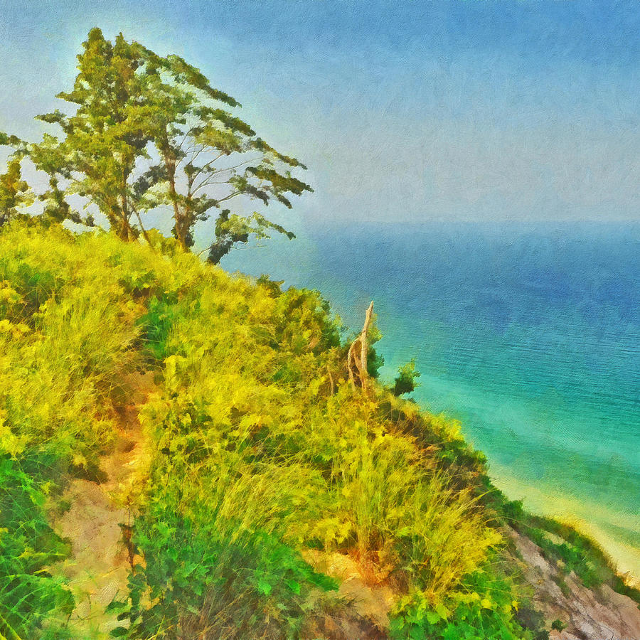 A Path to a Tree Digital Art by Digital Photographic Arts
