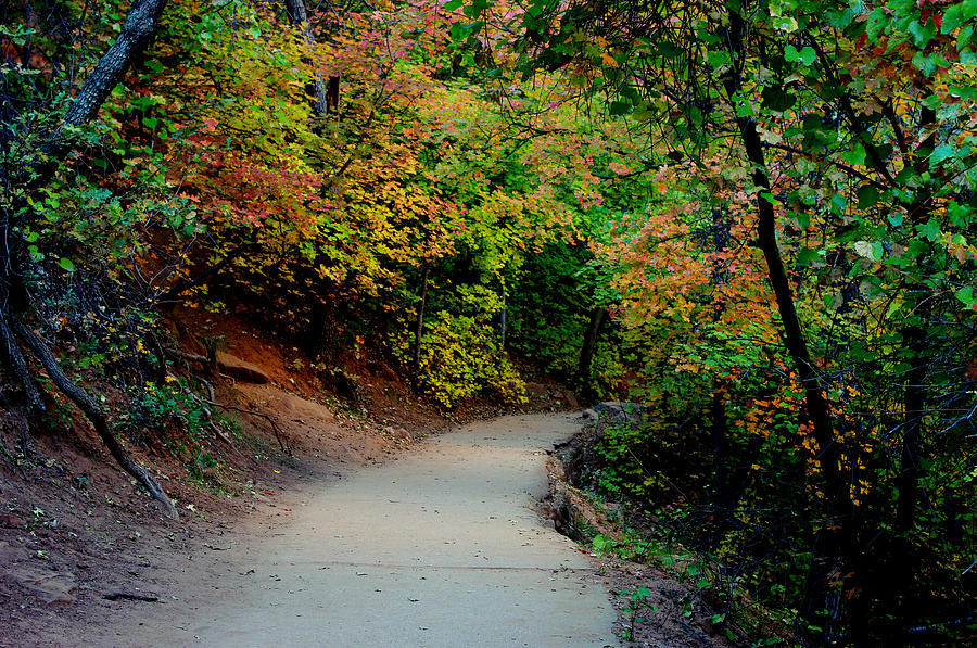 Nature Photograph - A Pathway into Fall  by Bill Zielinski