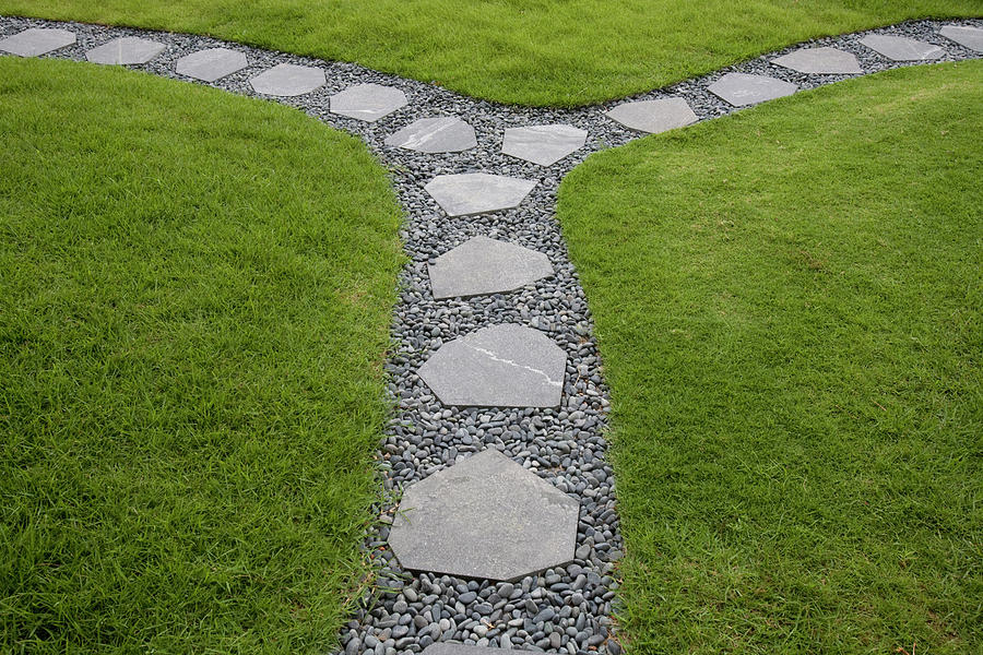 A Pathway On The Roof Of Building Photograph By David Mclain