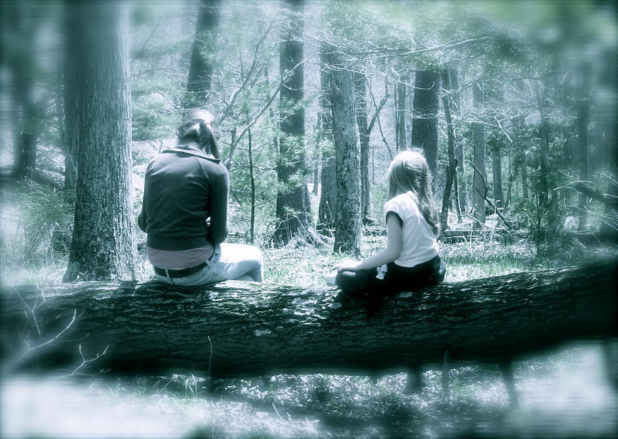 A Pause in the Woods Photograph by Tracy Male