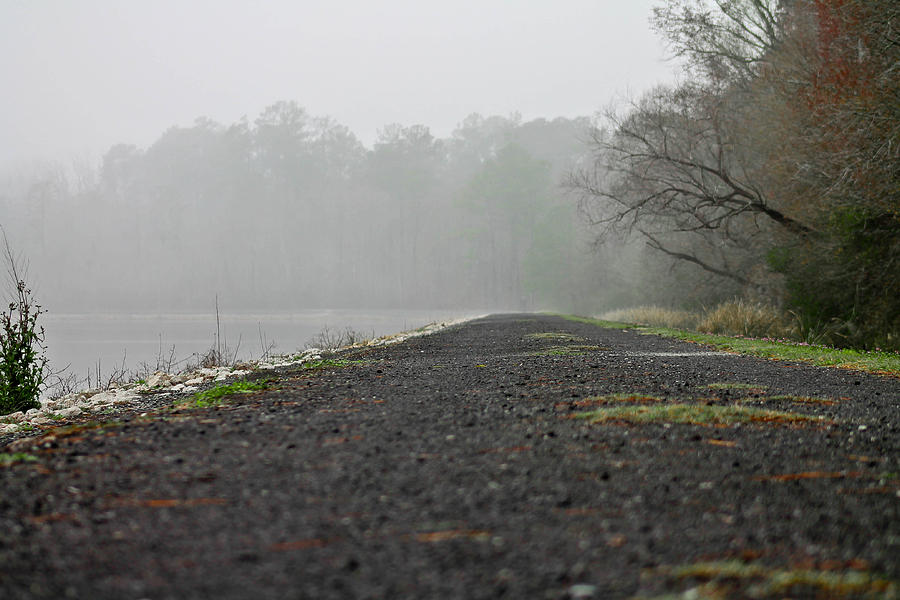 A Paved Path Photograph by Jessica Brown