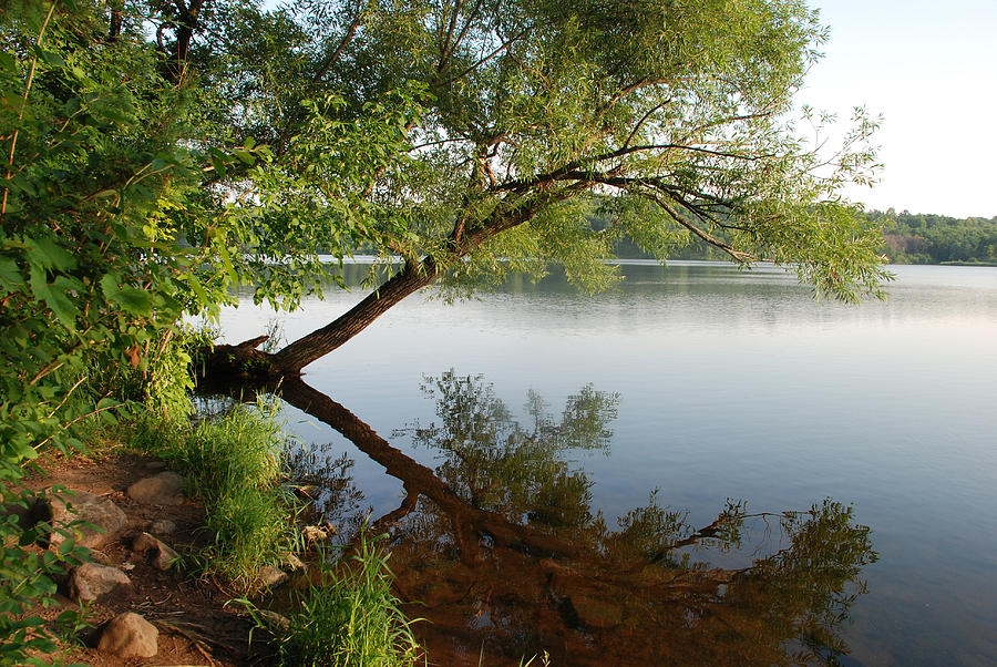 A Peaceful Early Morning Walk Along Little Falls Lake Photograph by Janice Adomeit