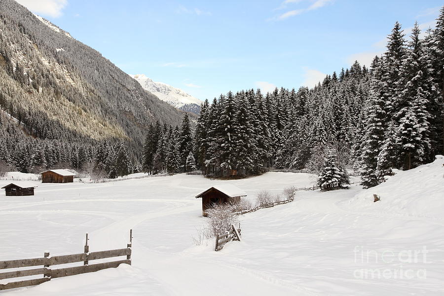 A Peaceful Winterscene Photograph by Christiane Schulze Art And Photography